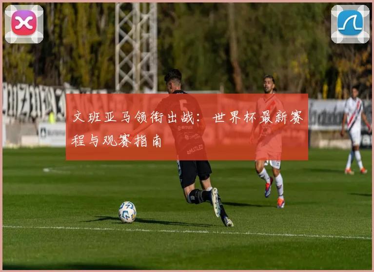 文班亚马领衔出战：世界杯最新赛程与观赛指南