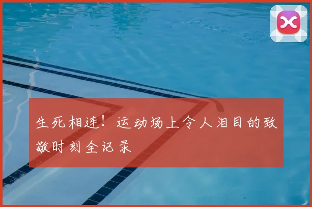 生死相连！运动场上令人泪目的致敬时刻全记录